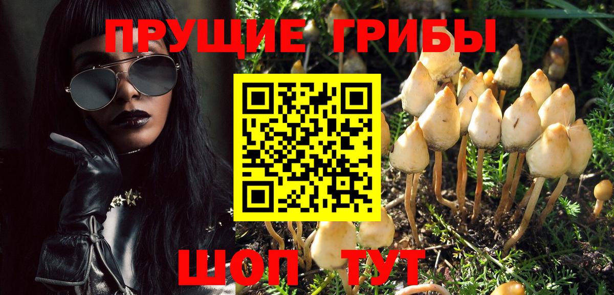 Псилоцибиновые грибы MAGIC MUSHROOMS  Галлюциногенные грибы Psilocybine cubensis  Выборг  Вход с VPN 