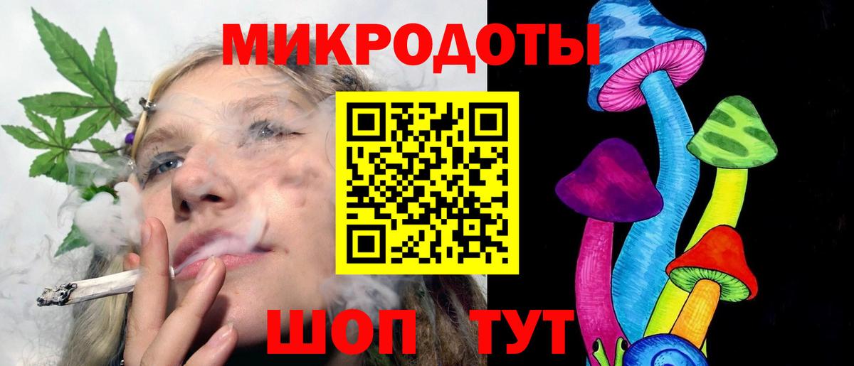 Псилоцибиновые грибы Psilocybine cubensis Выборг